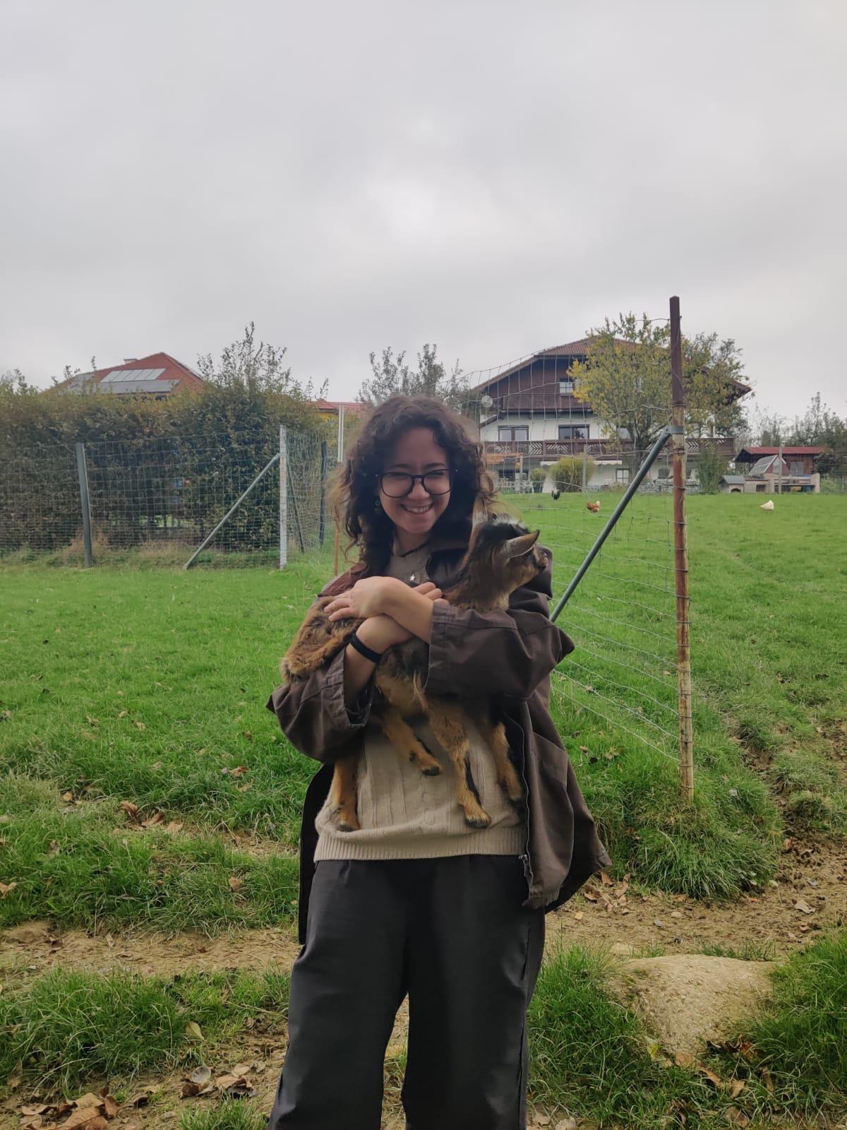 :: PROJETO DE VOLUNTARIADO | Steyr (Áustria) ::