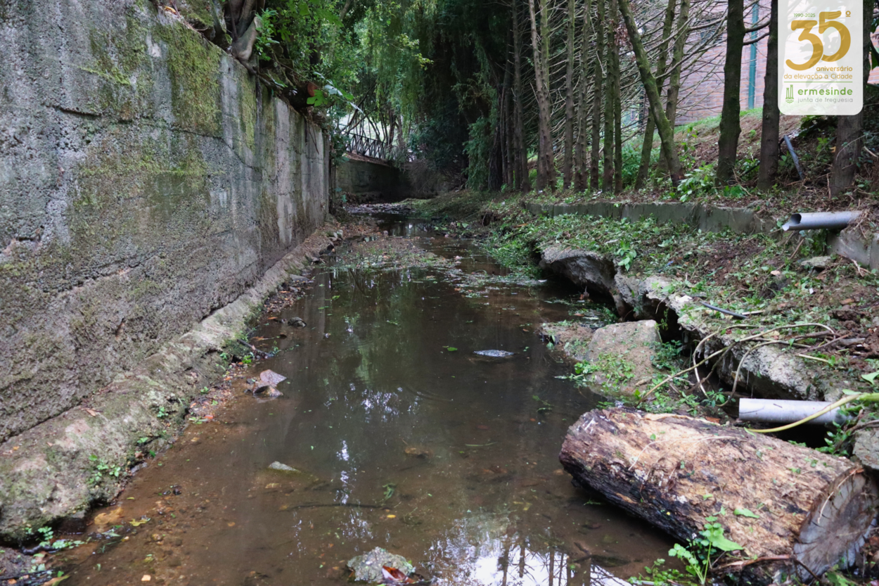 Troço do Rio Tinto que passa em Ermesinde recebe intervenção ambiental 